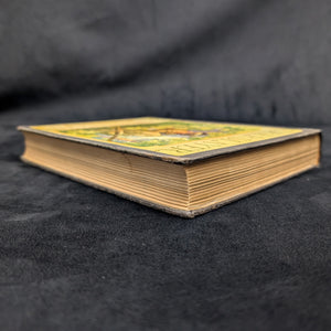 Deerslayer, by J. Fenimore Cooper, (Library Edition, Illustrated), 1925 🏹🌲📚