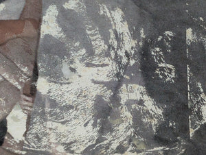 Deerslayer, by J. Fenimore Cooper, (Library Edition, Illustrated), 1925 🏹🌲📚