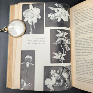 China Yearbook 1959-1960 by The China Yearbook Editorial Board (RARE First Edition), 1960 📜🇹🇼🇨🇳