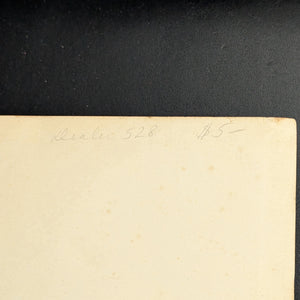 The History of David Grieve by Mrs. Humphry Ward (Early Edition), 1892 📜🕰️🇬🇧