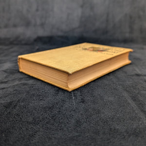 The Pursuit of the House-Boat by John Kendrick Bangs (First Edition, Illustrated, Rare), 1897 👻🕵️📜