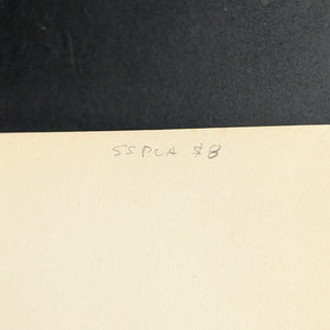 The Pursuit of the House-Boat by John Kendrick Bangs (First Edition, Illustrated, Rare), 1897 👻🕵️📜