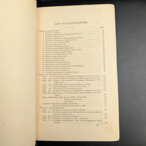 Report Of The Commissioner Of Agriculture (1886), (Government Publication, Illustrated), 1887 🌾🏛️🇺🇸