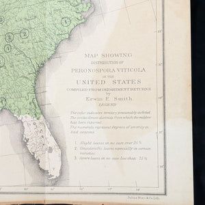 Report Of The Commissioner Of Agriculture (1886), (Government Publication, Illustrated), 1887 🌾🏛️🇺🇸