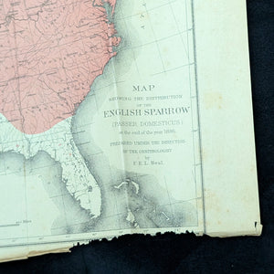 Report Of The Commissioner Of Agriculture (1886), (Government Publication, Illustrated), 1887 🌾🏛️🇺🇸