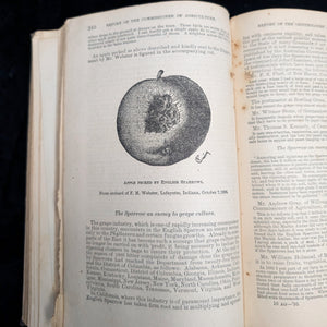 Report Of The Commissioner Of Agriculture (1886), (Government Publication, Illustrated), 1887 🌾🏛️🇺🇸