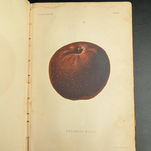 Report Of The Commissioner Of Agriculture (1886), (Government Publication, Illustrated), 1887 🌾🏛️🇺🇸