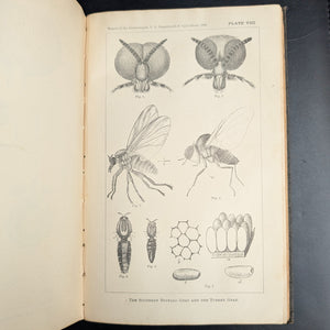 Report Of The Commissioner Of Agriculture (1886), (Government Publication, Illustrated), 1887 🌾🏛️🇺🇸