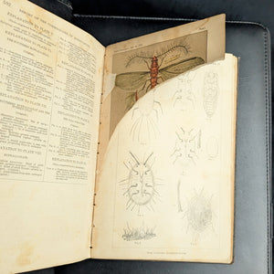 Report Of The Commissioner Of Agriculture (1886), (Government Publication, Illustrated), 1887 🌾🏛️🇺🇸