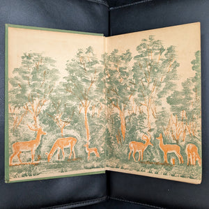 Bambi: A Life in the Woods by Felix Salten (RARE, First American Edition), 1929 🌿🦌🌳