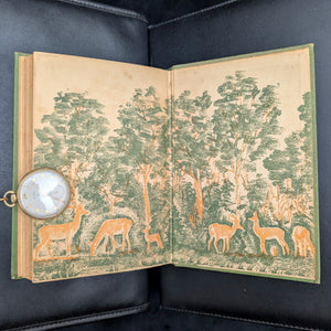 Bambi: A Life in the Woods by Felix Salten (RARE, First American Edition), 1929 🌿🦌🌳