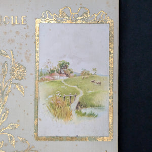Lucile, by Owen Meredith, (RARE, Decorative Binding, Illustrated), 1901 📜🥀✨