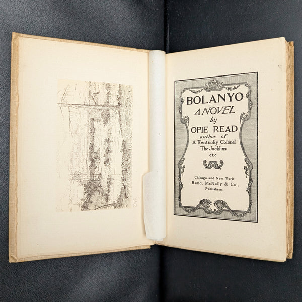 Bolanyo, a Novel by Opie Read (RARE, First Edition, First Printing, Maxfield Parrish Cover), 1897 📜✍️🎨