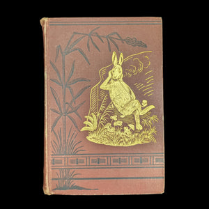 Uncle Remus: His Songs and Sayings by Joel Chandler Harris (Illustrated Appleton Edition), 1890 🦊📜🇺🇸