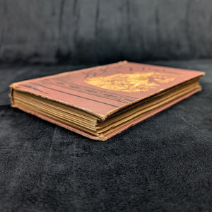 Uncle Remus: His Songs and Sayings by Joel Chandler Harris (Illustrated Appleton Edition), 1890 🦊📜🇺🇸