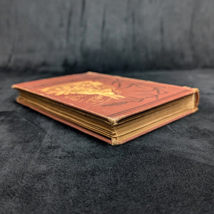 Uncle Remus: His Songs and Sayings by Joel Chandler Harris (Illustrated Appleton Edition), 1890 🦊📜🇺🇸