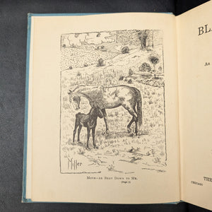 Black Beauty: In Words of One Syllable, by Anna Sewell (adapted), (RARE, Illustrated, Prize Inscription), 1905 📜🐎✨