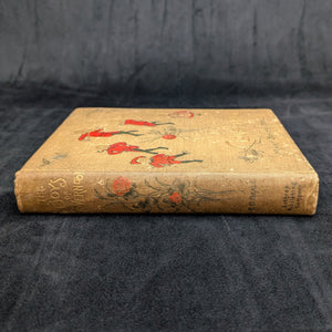 The Boys of Clovernook by Mary Barnes Beal (First Edition, Illustrated, Rare), 1896 🌾📚🇺🇸