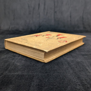 The Boys of Clovernook by Mary Barnes Beal (First Edition, Illustrated, Rare), 1896 🌾📚🇺🇸