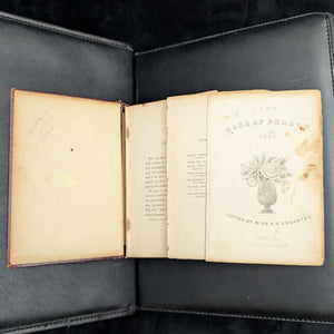 The Rose of Sharon by Miss S.C. Edgarton (Antique Edition), 1845 🌹📜✝️