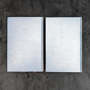 Spain and the Spaniards by Edmondo De Amicis (Illustrated Edition, Two-Volume Set), 1895 🇪🇸📜🏛️