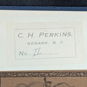 Spain and the Spaniards by Edmondo De Amicis (Illustrated Edition, Two-Volume Set), 1895 🇪🇸📜🏛️