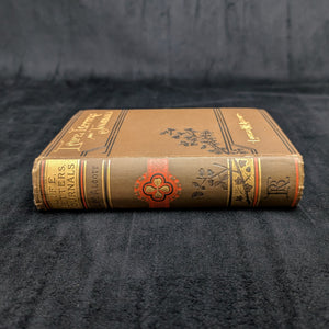 Louisa May Alcott: Her Life, Letters, and Journals by Ednah D. Cheney (First Edition), 1890 📜✒️📚