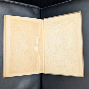 An Old Sweetheart of Mine by James Whitcomb Riley (Illustrated Edition), 1902 📜💘✨