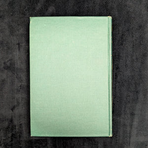 Home-Folks by James Whitcomb Riley (RARE, First Edition, First Printing, Illustrated), 1900 📜🏡🖋️