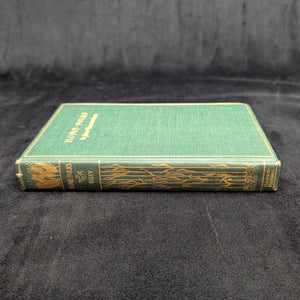 Home-Folks by James Whitcomb Riley (RARE, First Edition, First Printing, Illustrated), 1900 📜🏡🖋️
