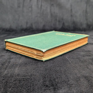 Home-Folks by James Whitcomb Riley (RARE, First Edition, First Printing, Illustrated), 1900 📜🏡🖋️