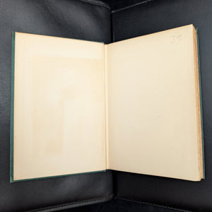 Home-Folks by James Whitcomb Riley (RARE, First Edition, First Printing, Illustrated), 1900 📜🏡🖋️