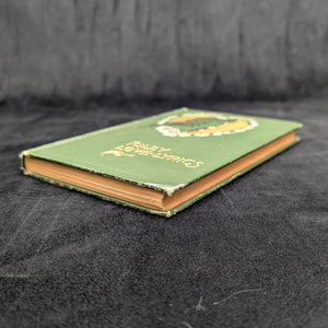 Riley Love-Lyrics, by James Whitcomb Riley, (Illustrated, Decorative Binding), 1905 ❤️📜🌹