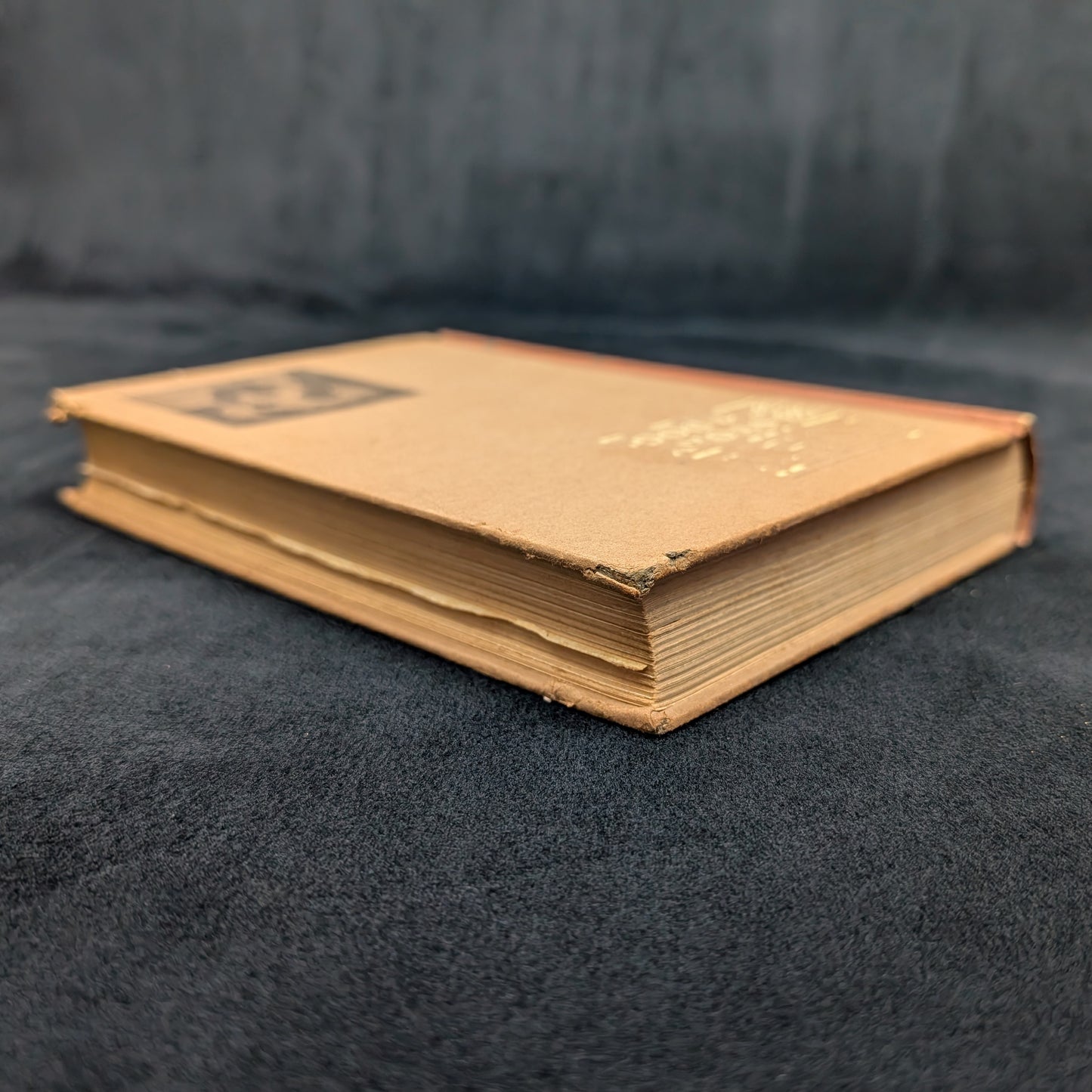 Toby, The Story of a Dog by Elizabeth E. Goldsmith (First Edition, Illustrated, Rare), 1913 🐶📚📜