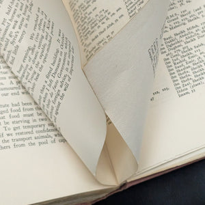 Revolt in the Desert by T. E. Lawrence (First American Edition), 1927 📜⚔️🐪