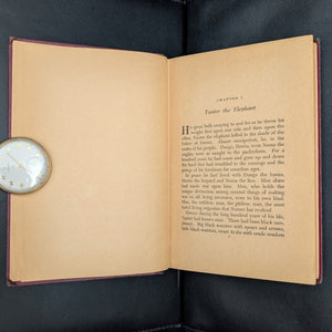 Tarzan: Lord Of The Jungle, by Edgar Rice Burroughs, (Grosset & Dunlap Edition), Undated 🦍🌿⚔️