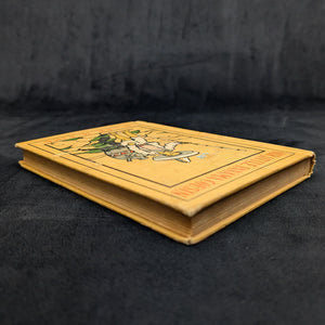 Our Little Panama Cousin, by H. Lee & M. Pike, (Eighth Impression, Illustrated), 1914 🇵🇦🧒📖