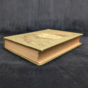 South Africa: Its History, Heroes, and Wars by W. Douglas Mackenzie (Illustrated Edition), 1900 🇿🇦📜⚔️