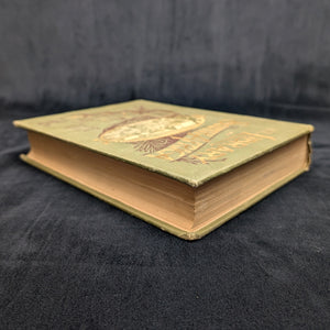 South Africa: Its History, Heroes, and Wars by W. Douglas Mackenzie (Illustrated Edition), 1900 🇿🇦📜⚔️