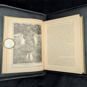 South Africa: Its History, Heroes, and Wars by W. Douglas Mackenzie (Illustrated Edition), 1900 🇿🇦📜⚔️