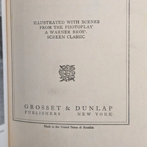 Babbitt by Sinclair Lewis (Illustrated Reprint), 1924 📜📖✍️