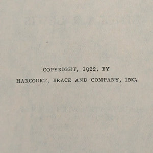 Babbitt by Sinclair Lewis (Illustrated Reprint), 1924 📜📖✍️