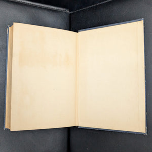 Babbitt by Sinclair Lewis (Illustrated Reprint), 1924 📜📖✍️