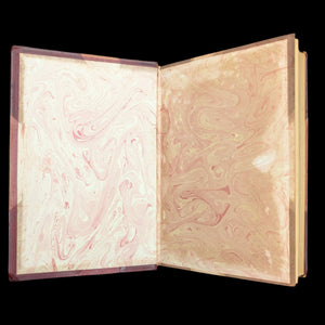George Meredith, "The Ordeal of Richard Feverel" (Rare Revised Edition), 1905 📜✨📖
