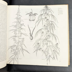 The Connoisseur's Handbook of Marijuana by William Daniel Drake Jr. (Rare Hardcover Edition), 1971 📜🍃✌️