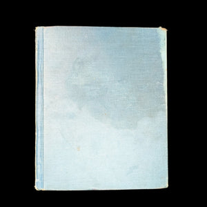 The Hole Book by Peter Newell (RARE, First Edition), 1908 🎯✨📖