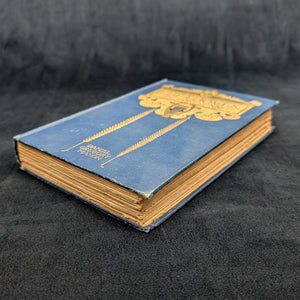 Beethoven And His Forerunners, by Daniel Gregory Mason, (RARE, First Edition, Illustrated), 1904 🎶🎻🏛️