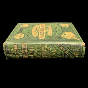 The National Encyclopedia of Business and Social Forms by James D. McCabe (RARE Illustrated Edition), 1881 📜🎩🕰️