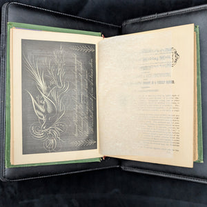 The National Encyclopedia of Business and Social Forms by James D. McCabe (RARE Illustrated Edition), 1881 📜🎩🕰️