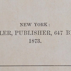 The Poets and Poetry of America, by Rufus Wilmot Griswold, (16th Edition), 1873 📜📖🇺🇸